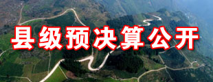 县级预决算公开