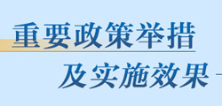 重要政策举措及实施效果